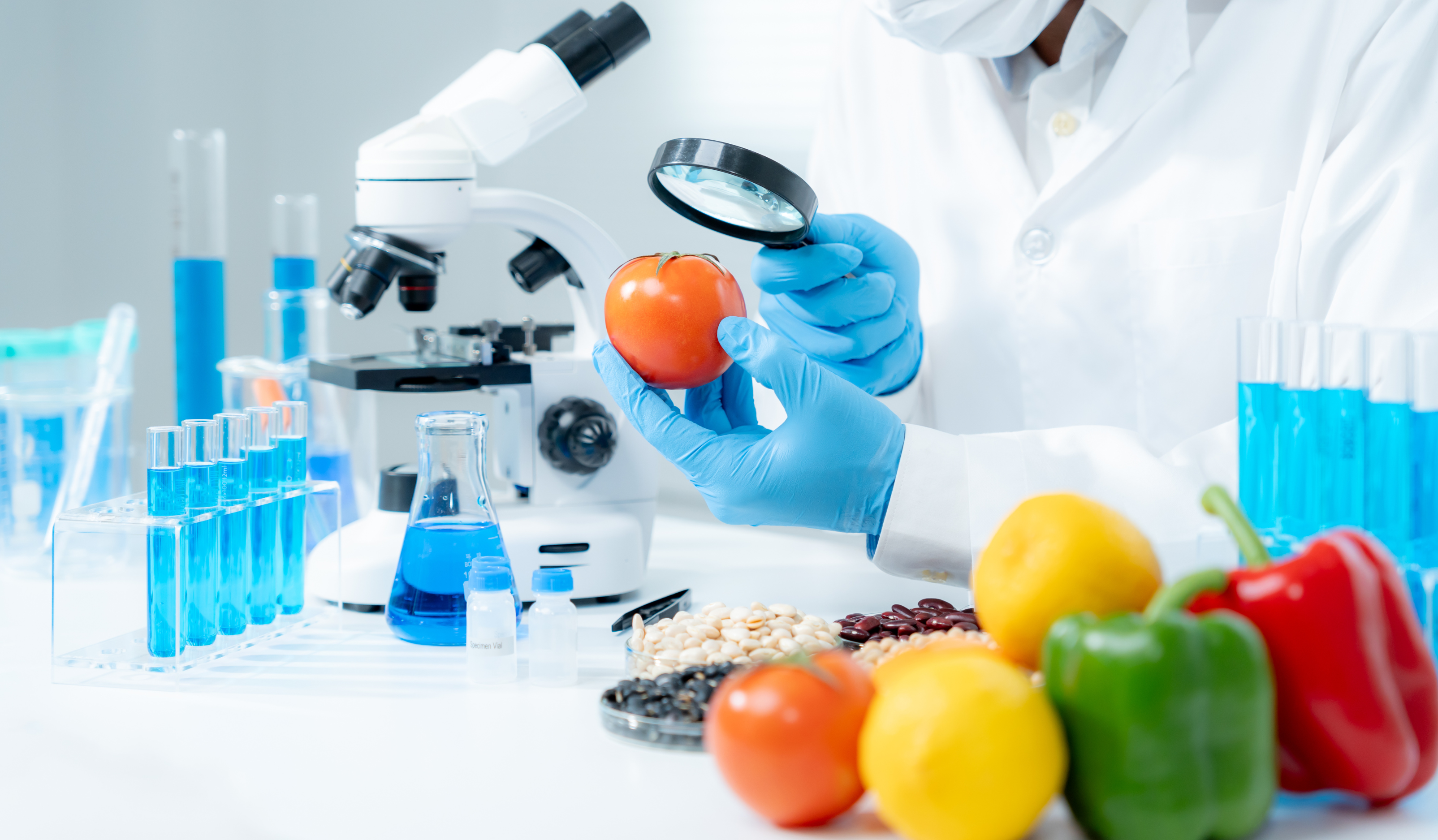 Read more about the article HACCP